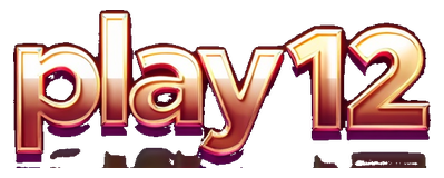 play12 logo